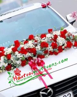 Xe hoa cưới-HT531