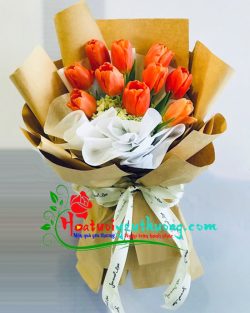 Bo tulip mầu cam xinh-HT688