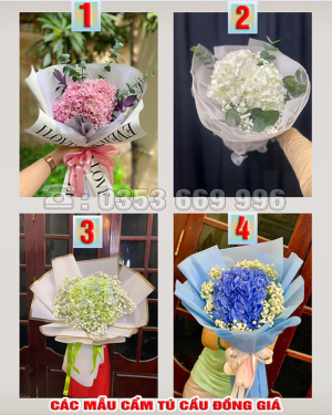 Bó cẩm tú cầu tặng nhân dịp-HT62